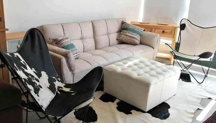 Casa -  Muebles Sofa - Palmitas