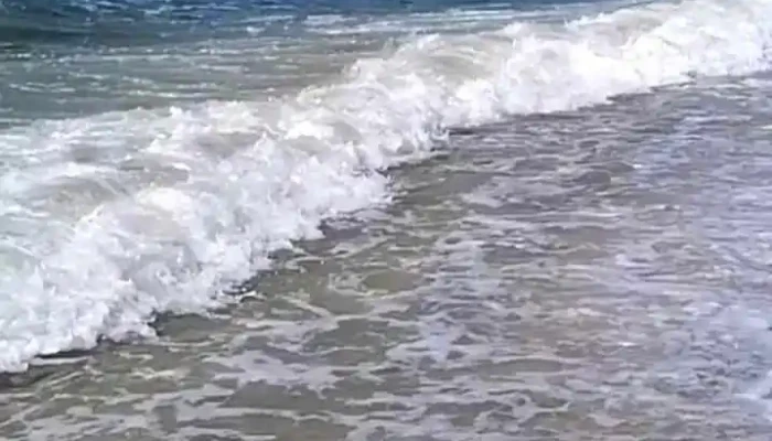 Casa Viento Y Mar -  Videos - Las Toscas