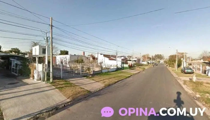 Castraciones - Sta Lucia