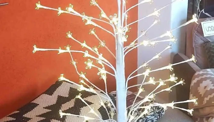 Caulin -  Interior - Mercedes