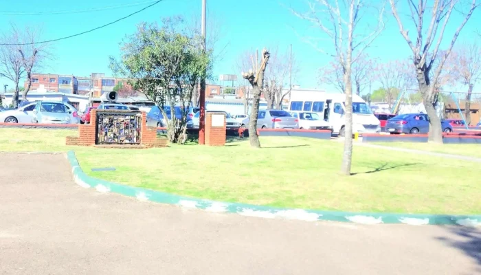 Cedemcar -  Catalogo - San Carlos