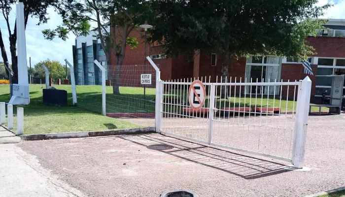 Cedemcar -  Sitio Web - San Carlos