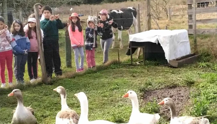 Ceimer, Escuela - Rocha