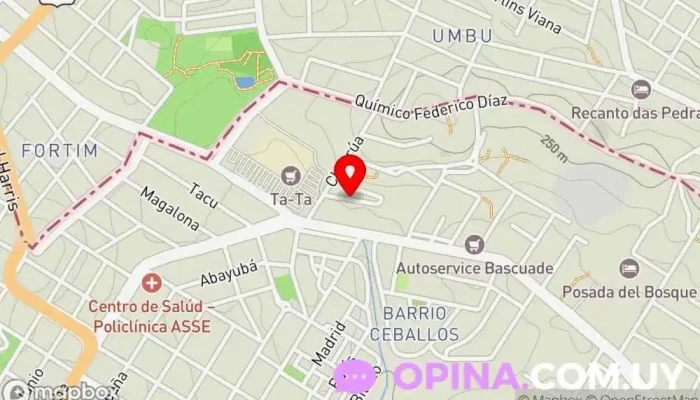 Celia Pomoli - Rivera