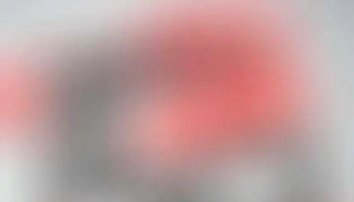 Centro De Arte Ceci Gatto -  Videos - Rivera