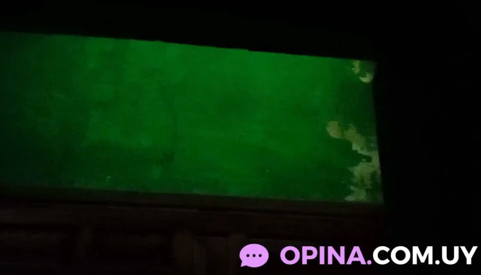 Centro De Atencion A La Infancia Y La Familia Caif 6 De Diciembre Cdi Videos - Montevideo