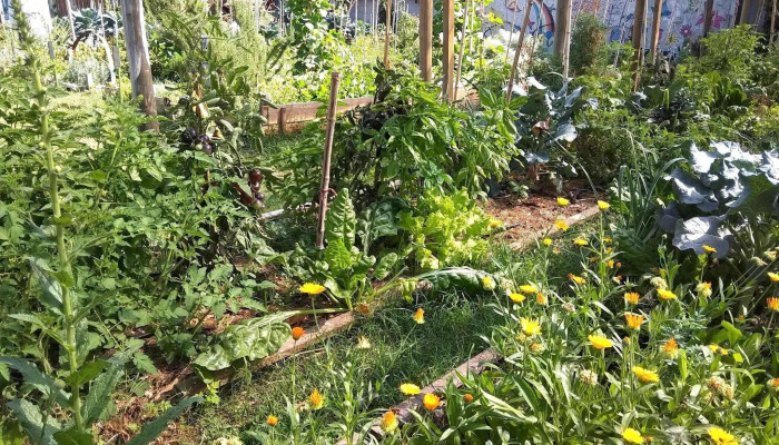 Centro De Barrio Penarol Del Propietario - Montevideo