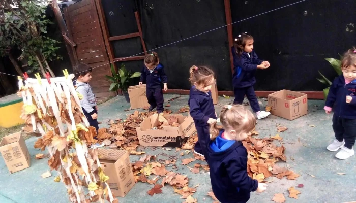 Centro De Educacion Y Cuidado A La Primera Infancia Del Propietario - Sauce