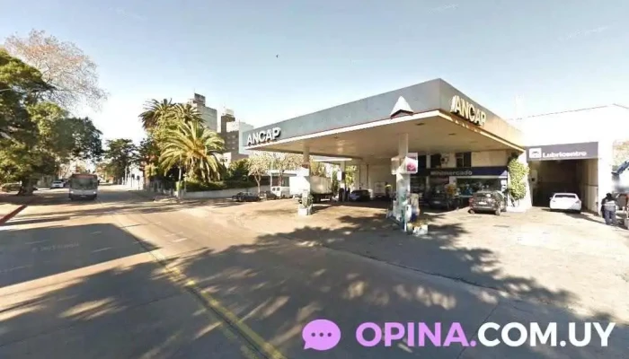 Centro Educativo Collage - Montevideo