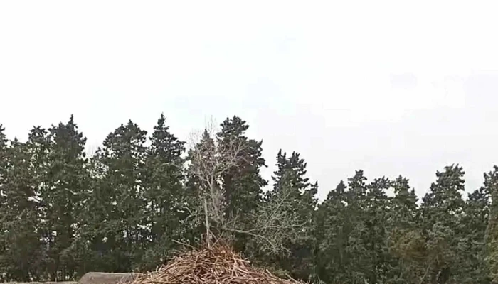 Centro Educativo Rural -  Comentarios - San Jacinto