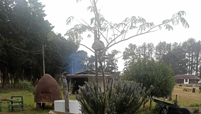 Centro Educativo Rural -  Ubicacion - San Jacinto