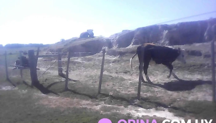 Centro Mec Noblía - Isidoro Noblía