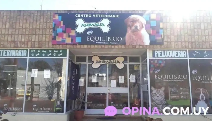 Centro Veterinario Animalía - Nueva Palmira