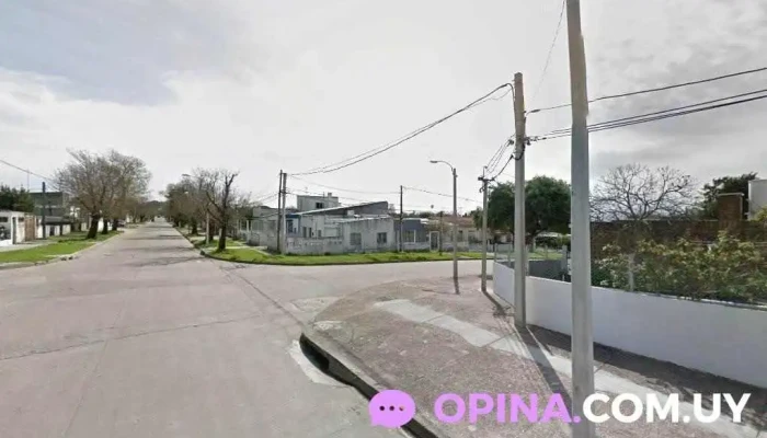 Cerveza.alimentos y bebidas - 13000 Montevideo