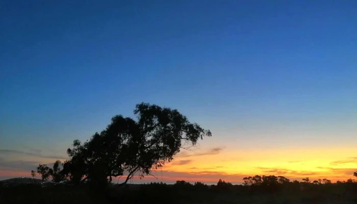 Chacra Erbabuona -  Del Propietario - Piriápolis