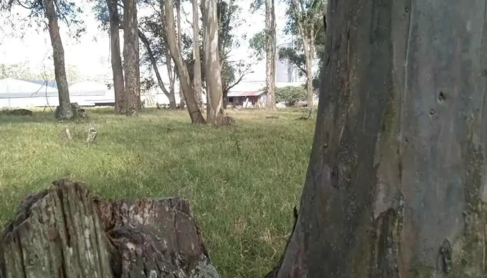 Chacra Lo Raquel -  Catalogo - Vergara