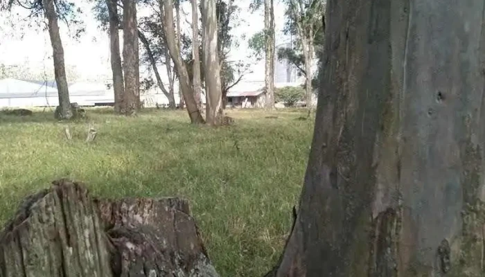 Chacra lo Raquel - Vergara