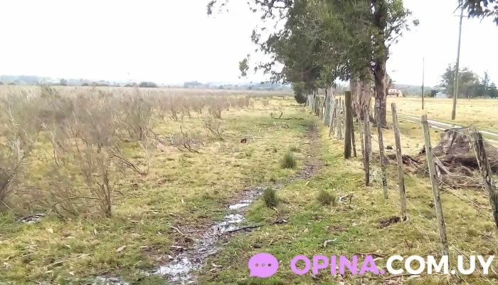 Chacra Maldonado Motors -  Abierto Ahora - San Carlos