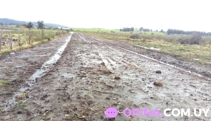 Chacra Maldonado Motors -  Exterior - San Carlos