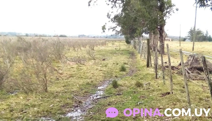 Chacra Maldonado Motors - San Carlos