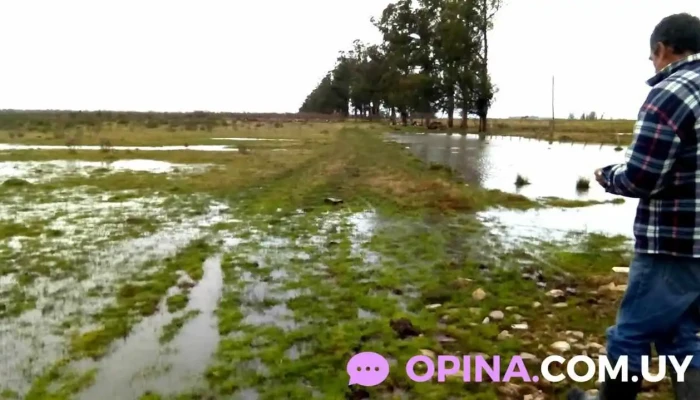 Chacra Maldonado Motors -  Videos - San Carlos