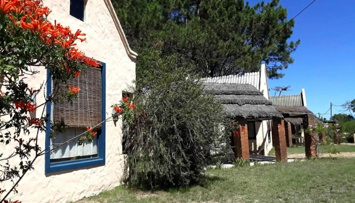 Chalets Del Bosque:  Exterior - Hotel