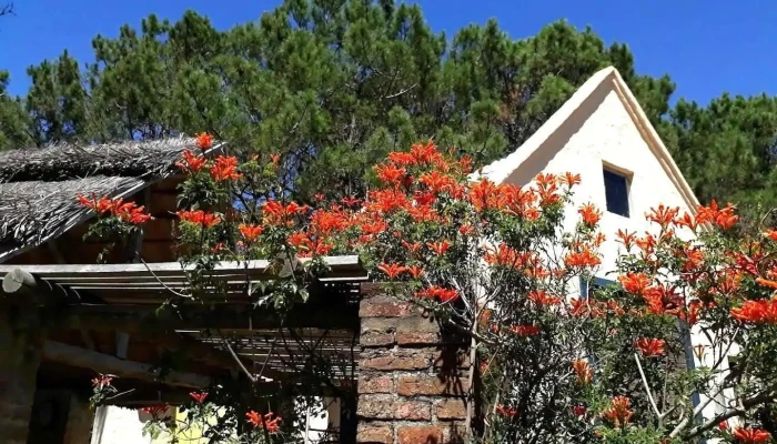 Chalets del Bosque - La Paloma