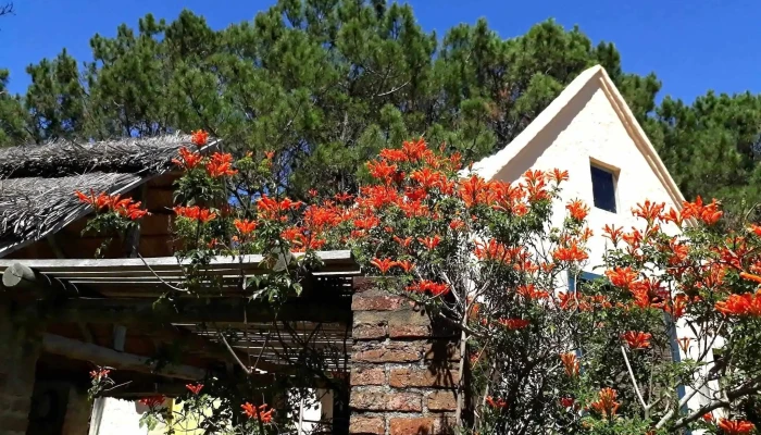 Chalets Del Bosque:  Todas - Hotel