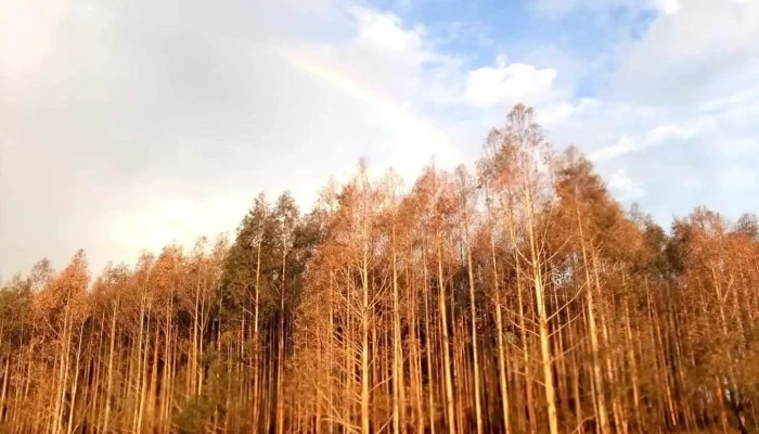 Cib Y Gimnasio Varona -  Del Propietario - Durazno