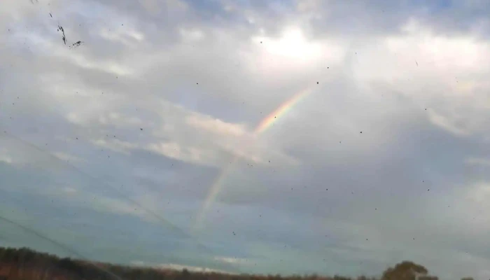 Cib y gimnasio Varona - Durazno