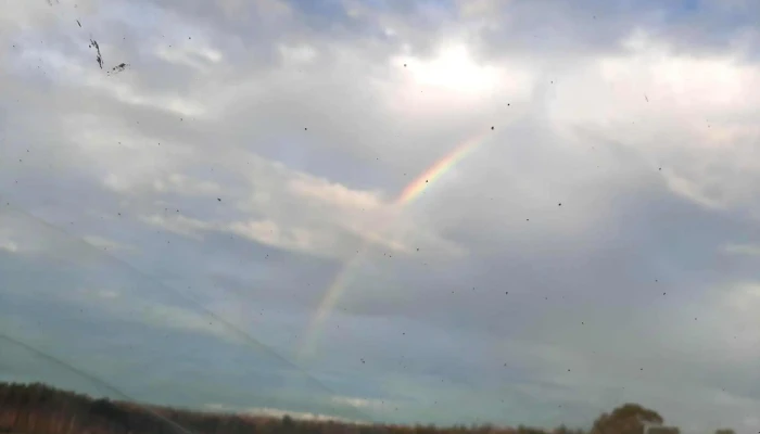 Cib Y Gimnasio Varona -  Instagram - Durazno