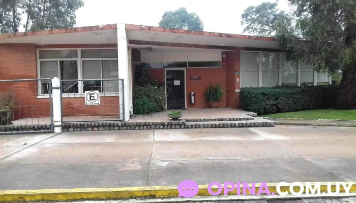 Cicssa - María Stagnero De Munar