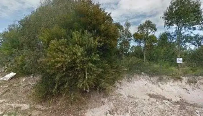 Cielo Tierra -  Precios - La Floresta