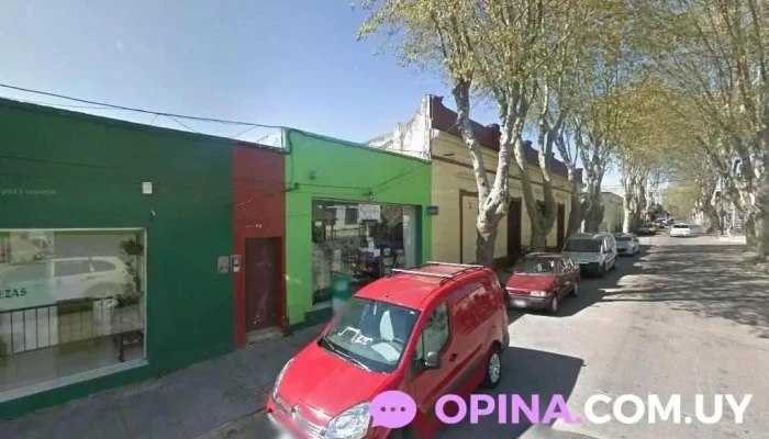 Cifer Estefan - Trinidad