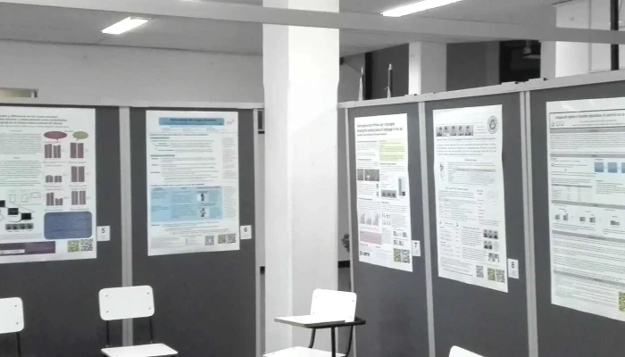 Cinde -    Escuela De Lengua De Senas Uruguaya Videos - Montevideo