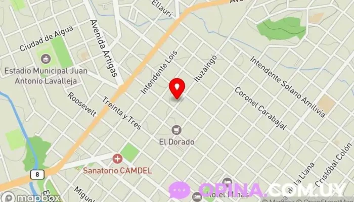 mapa de Clases de inglés con Cecilia Borjas Academia de inglés en Minas