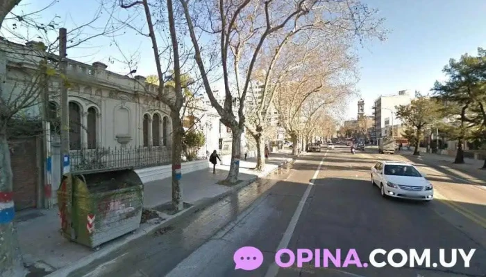 Clinica Eeg. - Montevideo