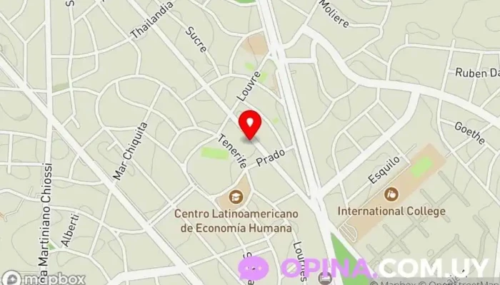 mapa de Clínica Jamelia | Salud y Bienestar Integral | Medicina y Estética | Depilación Laser Centro de depilación láser, Esteticista, Esteticista facial, Centro médico, Clínica dermatológica, Clínica del sueño en Punta del Este