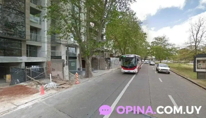 Clínica Morena | Odontología - Montevideo