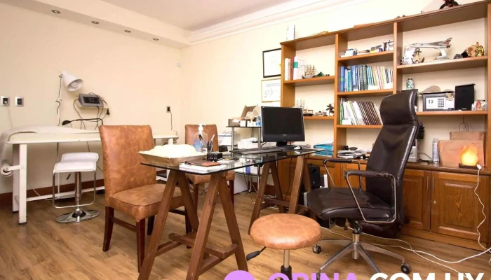 Clinica Porteiro Pincelli Del Propietario - Montevideo