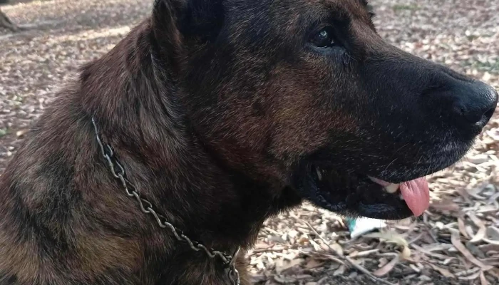 Clinica Veterinaria El Rastro - 11100 Montevideo