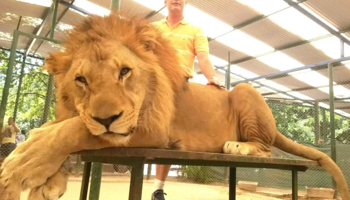 Clínica Veterinaria Ellauri - 11300 Montevideo