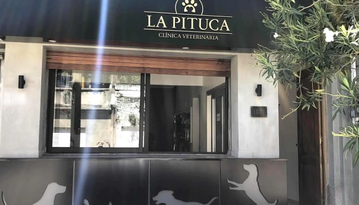 Clínica Veterinaria La Pituca - 40000 Rivera