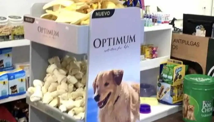 Clínica Veterinaria Millán 1 - 11700 Montevideo