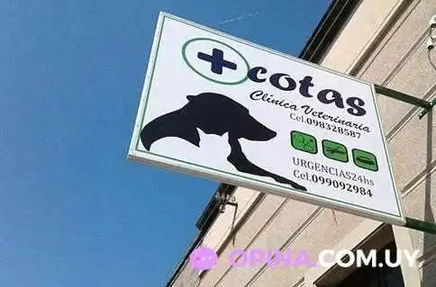 Clinica Veterinaria Pet Shop Cotas Perro - Nueva Palmira