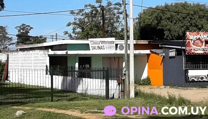 Clinica Veterinaria Salinas - Ruta 87