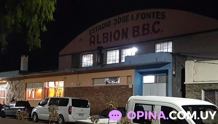 Club Albion Bbc - 20300