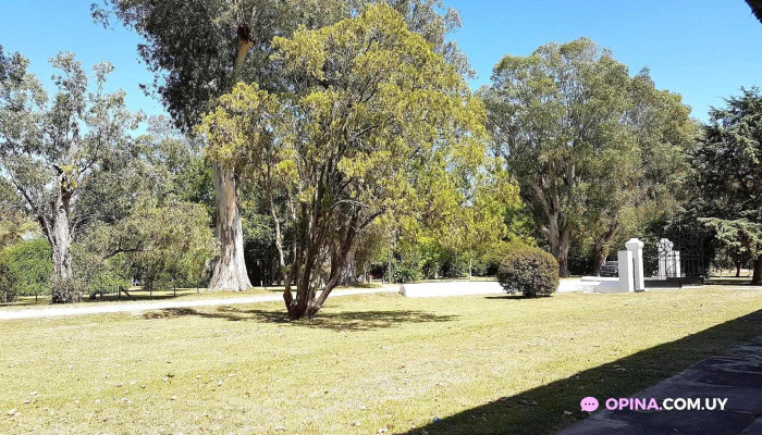 Club Atletico Aguas Corrientes Todo - Aguas Corrientes