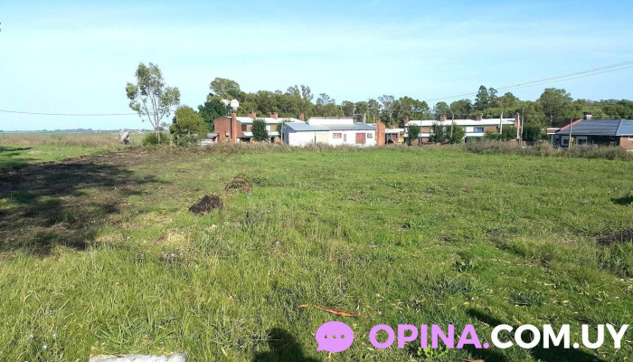 Club Atletico Colonia - Manuel Quintela