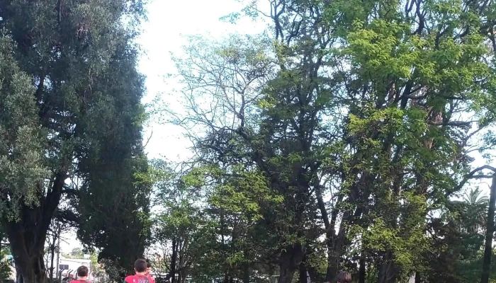 Club Barrio Otto Wulff -  Promocion - Col. del Sacramento